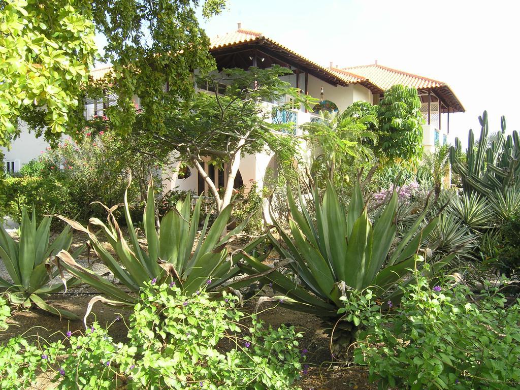 Apartment 1&5 in Windsock Beach Resort Bonaire Exterior foto