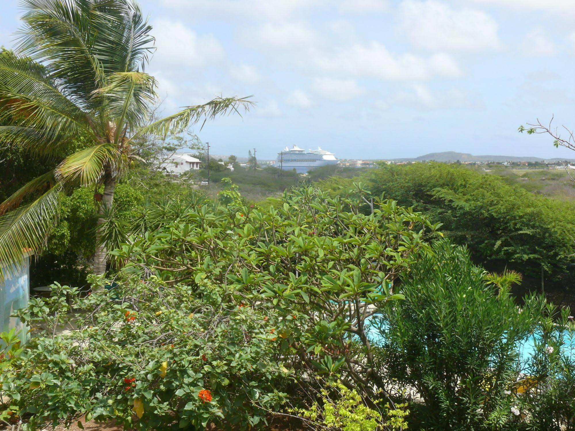 Apartment 1&5 in Windsock Beach Resort Bonaire Exterior foto